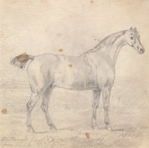 Het paard van meneer Plumer