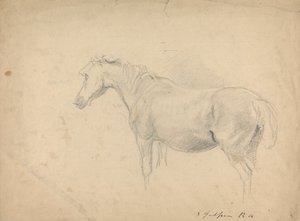Schets van een Paard