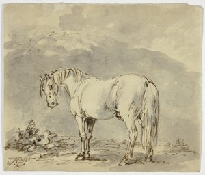 Staand Paard met Gedraaide Kop