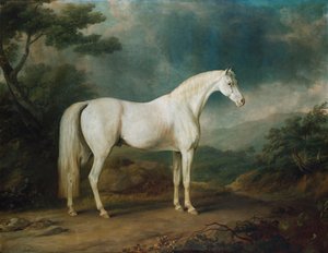 Wit paard in een bosrijk landschap, 1791