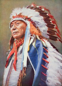 Chief Hollow Horn Bear