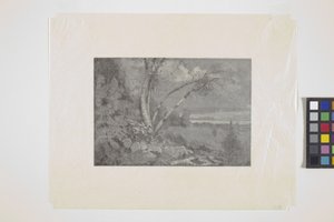 Landschap door School American