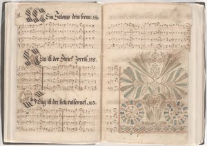 Pagina