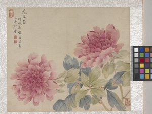 8 Blad Album van Bloemen, midden 1700s door School Chinese