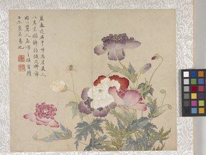 8 Blad Album van Bloemen, midden 1700s