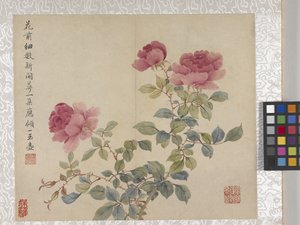 8 Blad Album Van Bloemen, midden 1700s door School Chinese