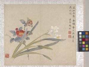 8-bladig album van bloemen, midden 1700s (inkt en kleur op papier)