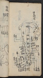 Acupunctuurpunten op het been, uit Jing Guan Qi Zhi, 