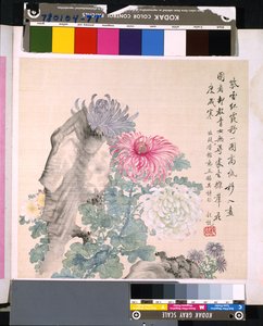 Album van bloemen en vogels door School Chinese