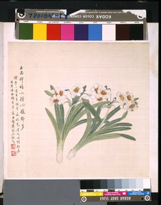 Album van bloemen en vogels