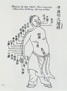 Chinese acupunctuur: de dikke darm