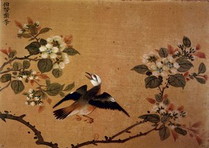 Chinese kunst: vogel en bloemen. 16e eeuw zijde schilderij. Parijs, B.N.