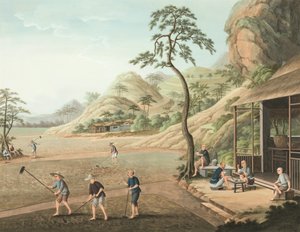 Theeproductie, ca. 1820