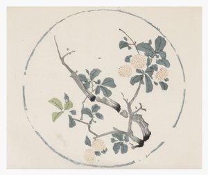 Tien Bamboe Serie