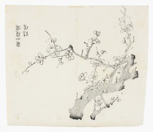 Tien Bamboe Serie