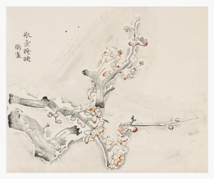 Tien Bamboe Serie