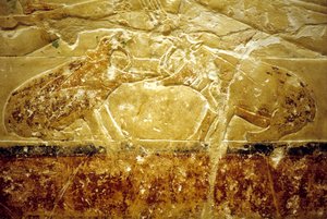 Oud Egypte, muurgravure/schildering, Mastaba/graf van Idout, Saqqara, 6e dynastie, Twee nijlpaarden vechten door School Egyptian
