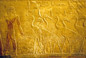 Oude Egypte, muurschildering, Mastaba/Graf van Ti, Saqqara, 5e Dynastie, Een boer die tamme kraanvogels leidt door School Egyptian