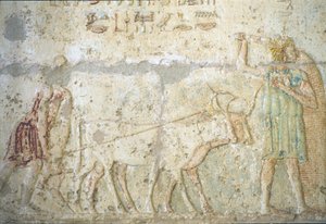 Oude Egypte, muurschildering, Graf van Petosiris, Tuna el Gebel, 300 v.Chr., Ploegen en zaaien van gewassen door School Egyptian