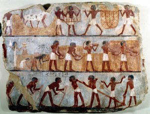Egyptische oudheid: muurschildering uit het Thebaanse graf van Ounsou: het werk van de velden: ploegen, planten, oogsten, schoven dragen, ontwortelen en graan strippen. Regering van Thutmosis III door School Egyptian