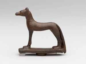 Jakhals of hond door School Egyptian