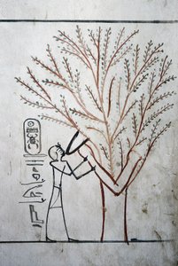 Luxor, Thebe: Vallei der Koningen. Graf van Thutmosis (Tuthmosis of Thutmes) III (-1504 - -1450), Farao van Egypte. door School Egyptian