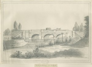 Stafford - Radford Brug door School English