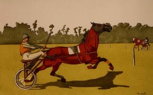 Drafpony die een Racekar Trekt