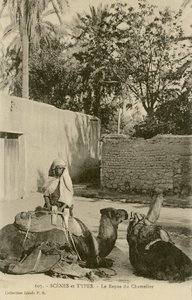 Le Repos du Chamelier, c.1890-1914 (zw/w foto)