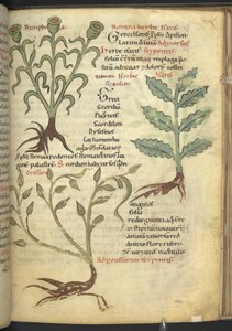 Nymphia; Isatis; Crision, uit 