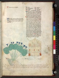 Tractatus de herbis (Kruidenboek) c.1280-1310 door School Italian