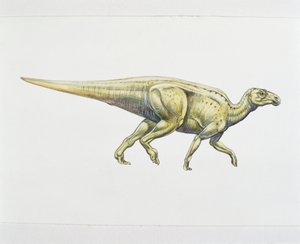 Hadrosauride of eendensnaveldinosaurus