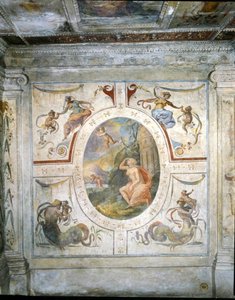 Muur in de badkamer van Cosimo I de