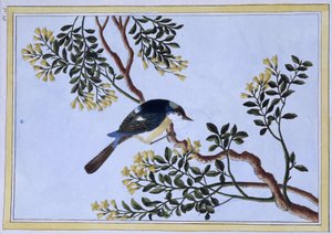 Vogel - Japanse prent door Japanese School