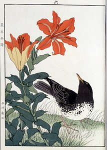 Merel en lelie bloemen - Japanse prent door Japanese School