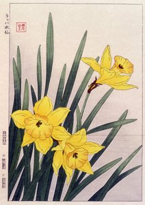Dichtbij narcissen - Japanse prent door Japanese School