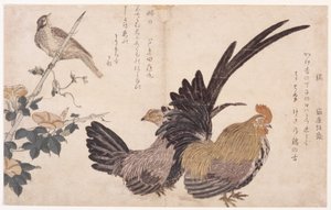 Haan, Hen en Vogel