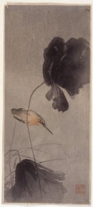 IJsvogel door School Japanese