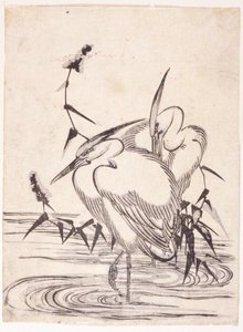 Twee reigers door School Japanese