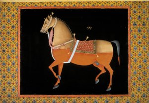Mogol kunst: voorstelling van een hengst. 18e eeuw gouache door School Mughal