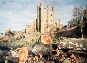 Het Castillo de Coyanza, gebouwd in de 14e-15e eeuw door de Graven van Valencia door School Spanish