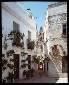 Uitzicht op de minaret (klokkentoren) van de Grote Moskee van de Omayyaden (Mezquita), nu kathedraal, vanaf Calle de los flores, Cordoba Spanje door School Spanish