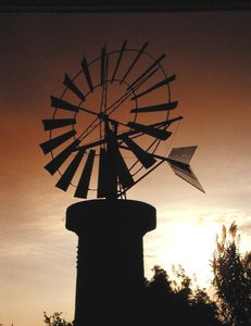Windmolens op Es Pla, Palma