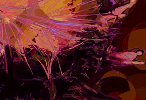 Artisjok abstract horizontaal 6 door Scott J. Davis