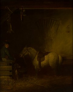 Pony in een Stalinterieur