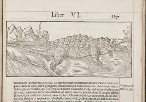 Cosmographia, Fol 1137, 1544 door Sebastian Munster