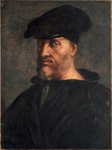 Portret van Andrea Doria