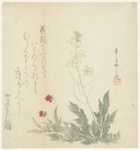 Bloeiende planten door Seiseikyo Ryûshi