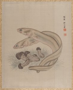 Paling, ca. 1890-92