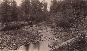 Marion River bij Bassett